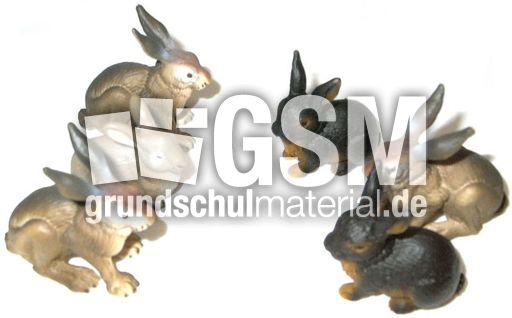 Hasen3+3.jpg